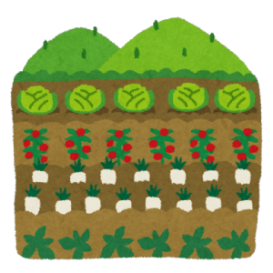 イラスト：野菜畑